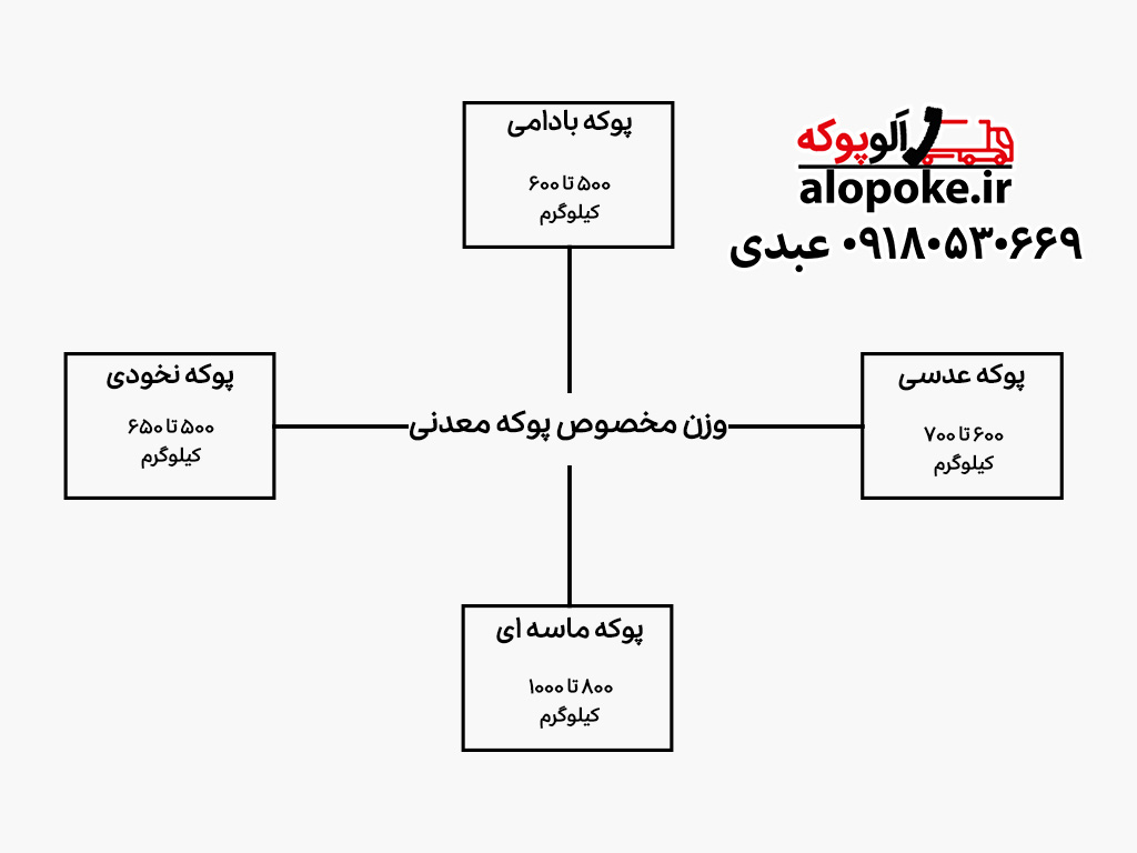 اینفوگرافیک وزن مخصوص انواع پوکه معدنی